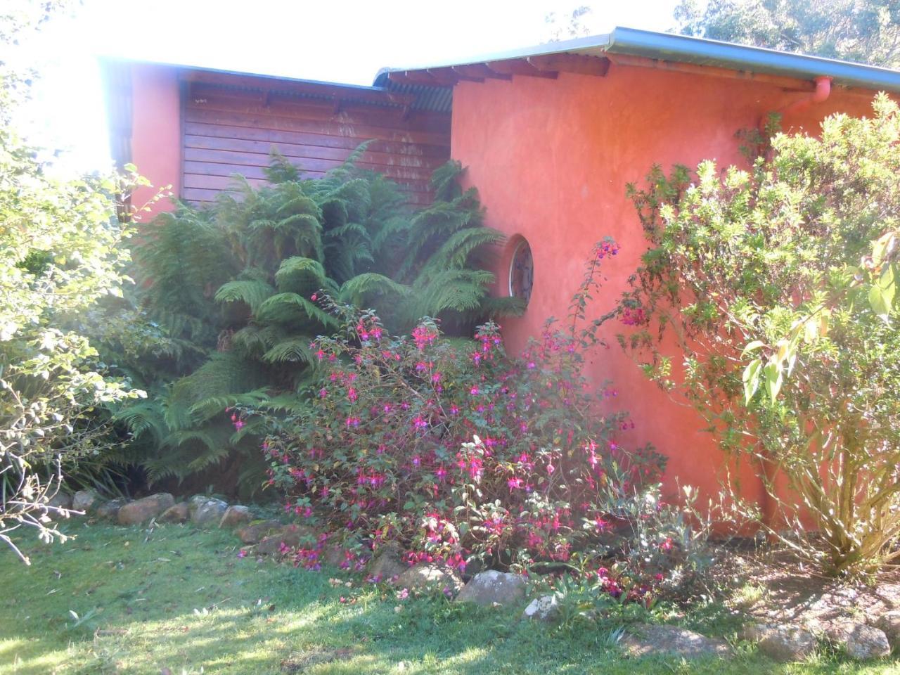 Whispering Spirit Holiday Cottages & Mini Ponies Franklin ภายนอก รูปภาพ